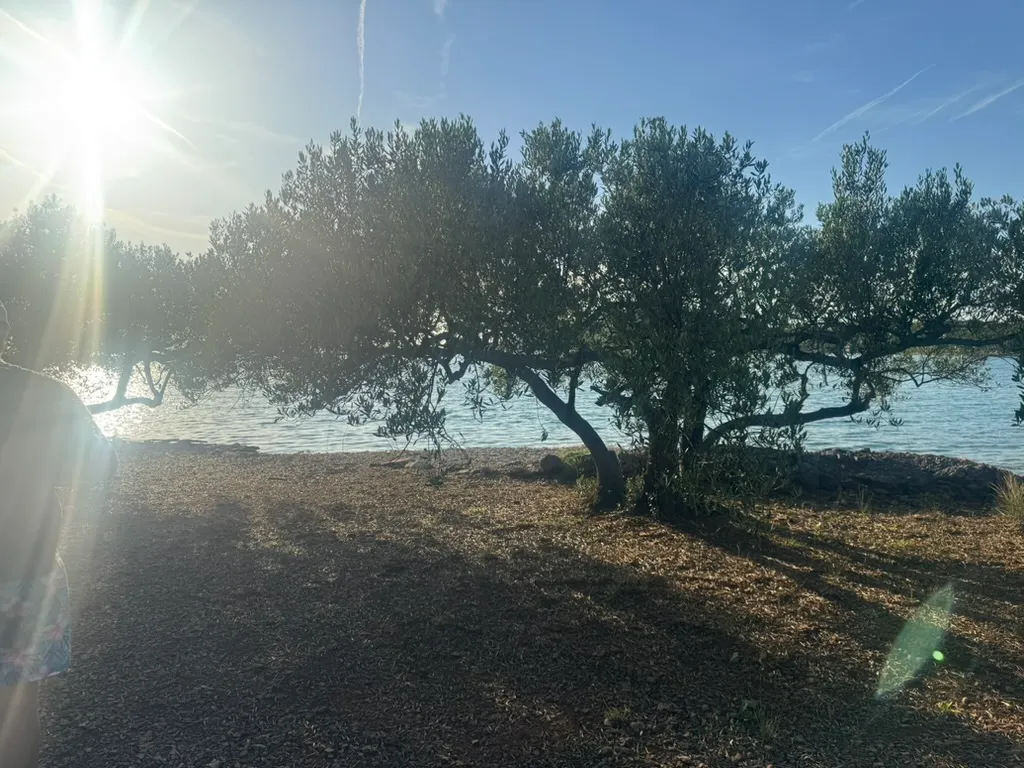 Lake Vrana: birds, viewpoints and quiet nature