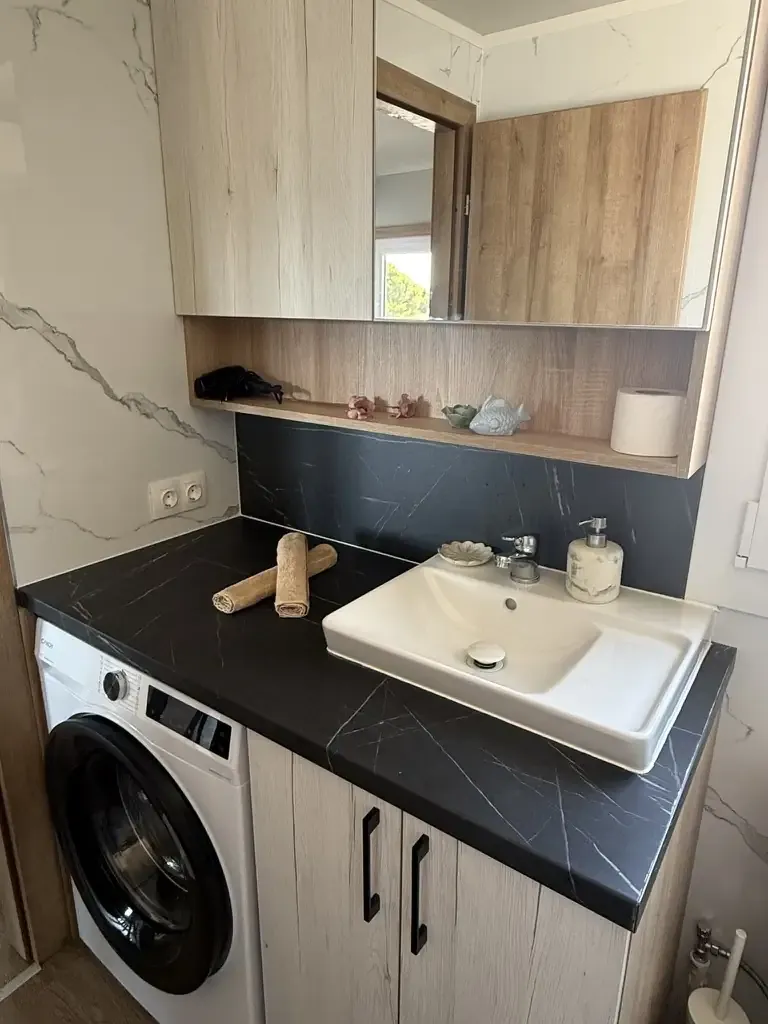 Bathroom vanity with washing machine